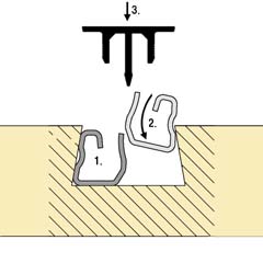 PGL_31